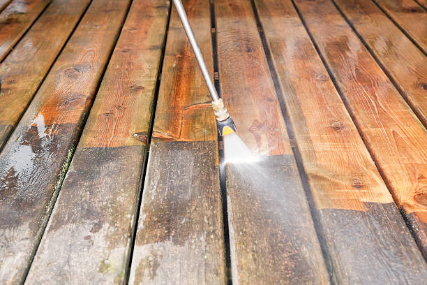 Animal Enclosure Cleaning in Contoocook, NH